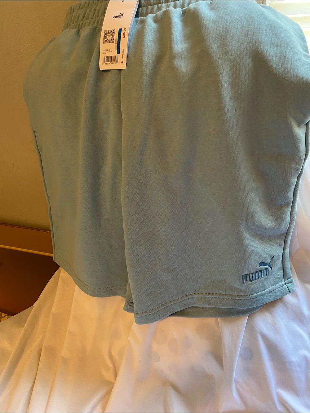Puma Men's Teal Athletic Shorts